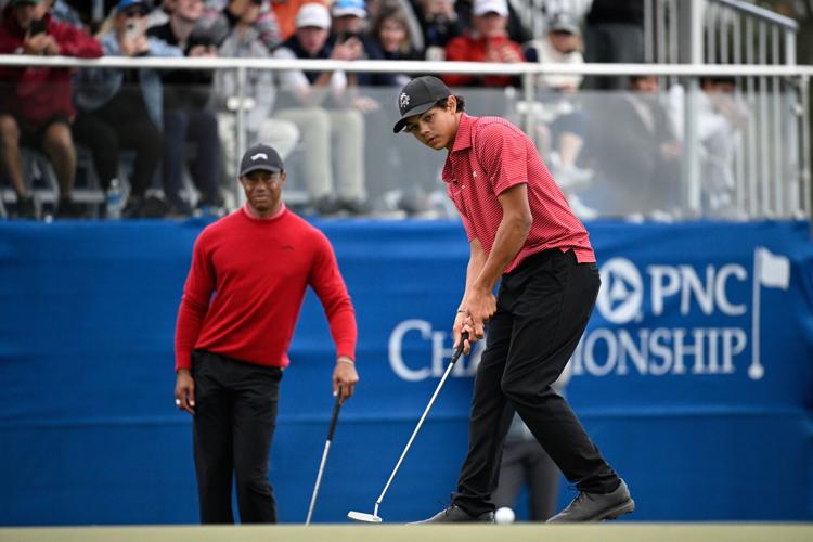 On The Fringe-Woods Golf